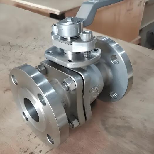 2205 Duplex Stainless Steel Casting Valve